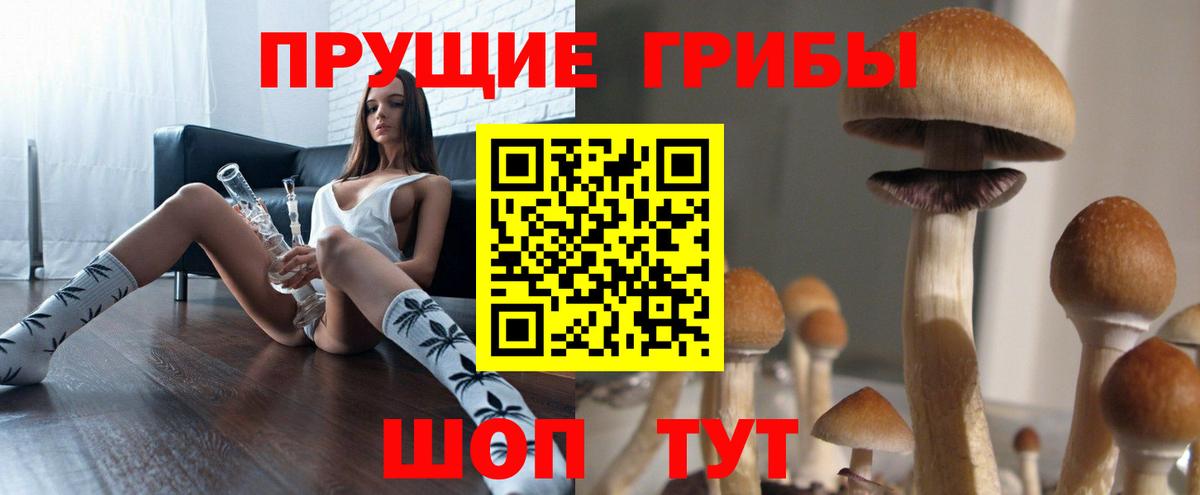 Брянск  Галлюциногенные грибы мицелий  Вход с VPN 
